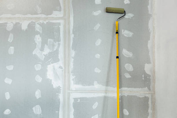 Best HVAC Mold Inspection and Cleaning  in Fairbanks, AK
