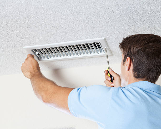 Best Mold Remediation for Healthcare Facilities  in Fairbanks, AK