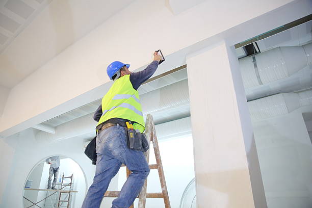 Best Mold Removal for HVAC Installations  in Fairbanks, AK