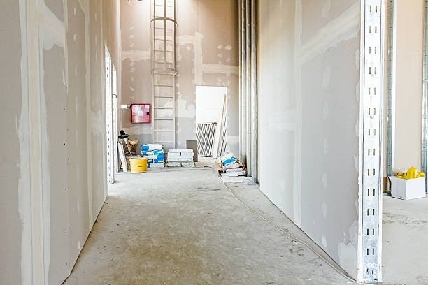 Best Mold Damage Restoration  in Fairbanks, AK